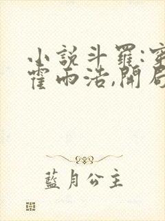 小说斗罗:穿越霍雨浩,开局拜师药老大结局