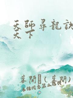 天师寻龙诀布衣天下