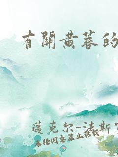 有关黄蓉的小说