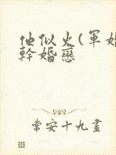 他似火(军婚高干婚恋