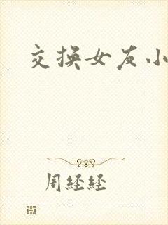 交换女友小说