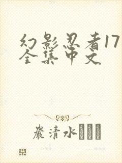幻影忍者17季全集中文