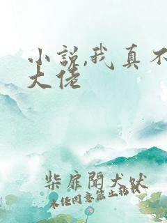 小说,我真不是大佬