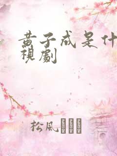 黄子成是什么电视剧