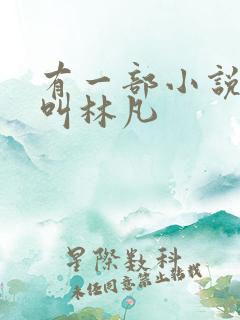有一部小说主角叫林凡