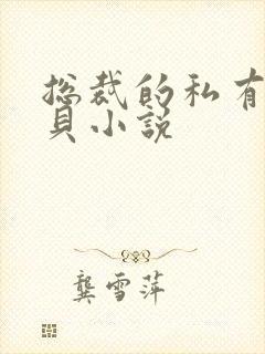 总裁的私有小宝贝小说