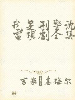 我是刑警沈小舟电视剧全集免费观看