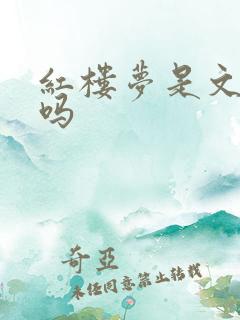 红楼梦是文言文吗