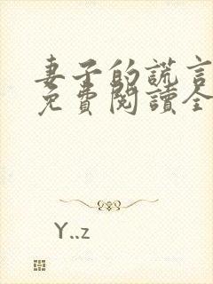妻子的谎言小说免费阅读全文