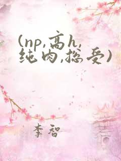 (np,高h,纯肉,总受)