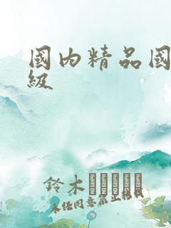 国内精品国产三级