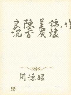 良陈美锦,作者沉香灰烬