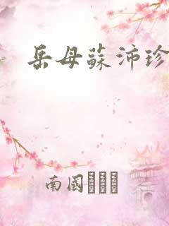 岳母苏沛珍章节