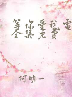 等你爱我电视剧全集免费