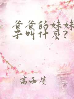 爸爸的妹妹的儿子叫什么?