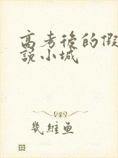 高考后的假期小说小城