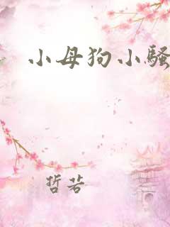小母狗小骚货