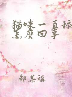 猫咪一直舔手是怎么回事