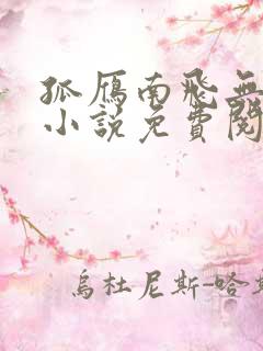孤雁南飞无归期小说免费阅读