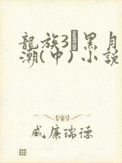 龙族3·黑月之潮(中) 小说