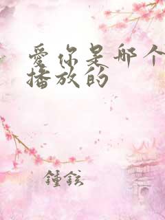爱你是哪个平台播放的