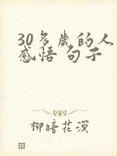 30多岁的人生感悟 句子