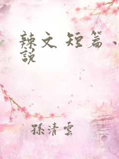 辣文 短篇 小说