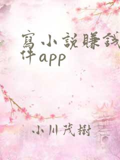 写小说赚钱的软件app
