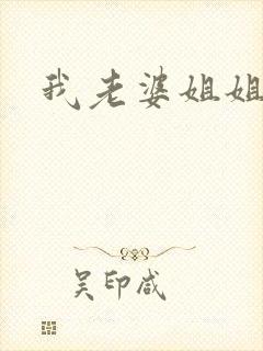 我老婆姐姐3