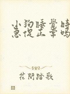 小狗睡觉时呼吸急促正常吗