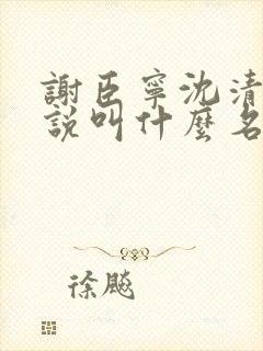 谢臣宁沈清漪小说叫什么名字