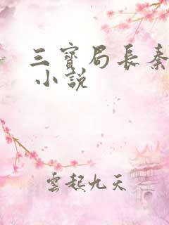 三宝局长秦守仁 小说