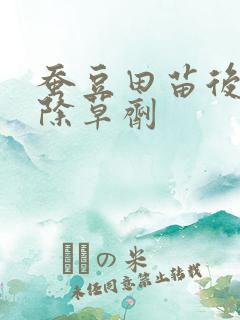 蚕豆田苗后专用除草剂