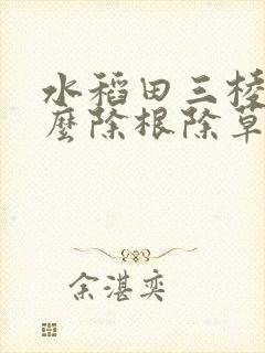 水稻田三棱草怎么除根除草剂