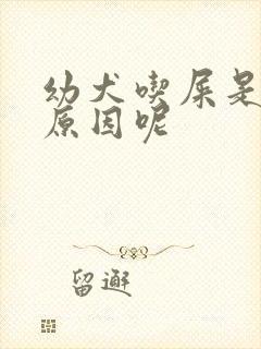 幼犬吃屎是什么原因呢