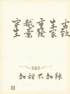 穿越重生古代做生意发家致富