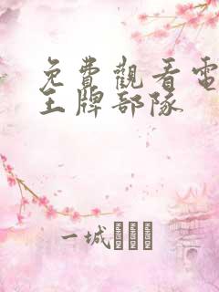 免费观看电视剧王牌部队