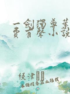 一剑独尊叶玄免费有声小说