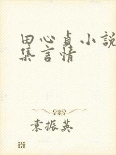 田心贞小说作品集言情
