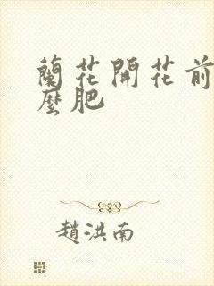 兰花开花前施什么肥