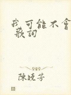 我可能不会爱你 歌词