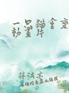 一只猫会变身的动画片