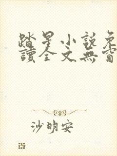 踏星小说免费阅读全文无窗口