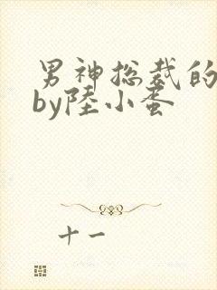 男神总裁的沦陷by陆小蛋