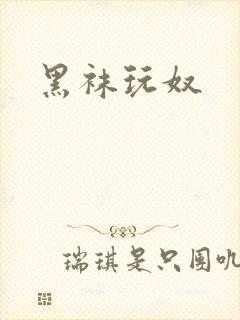 黑袜玩奴