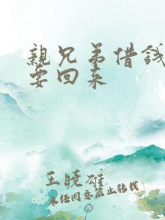 亲兄弟借钱怎么要回来