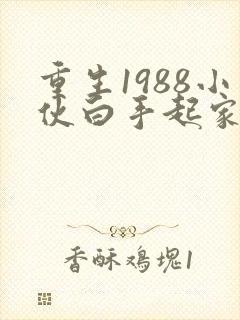 重生1988小伙白手起家成首富免费阅读