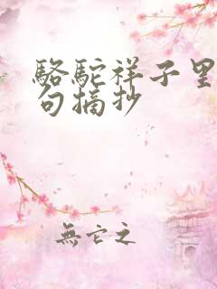 骆驼祥子里的好句摘抄