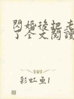 闪婚后把老公忘了全文阅读