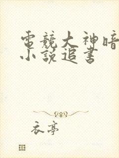 电竞大神暗恋我小说追书